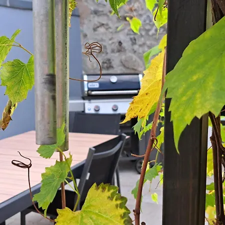 Les Galets De L Agly, 6 Ch, 12 Couchages Semaine Ou We Famille Amis Copains Le Vivier